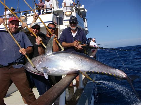 ROYAL STAR SPORT FISHING .